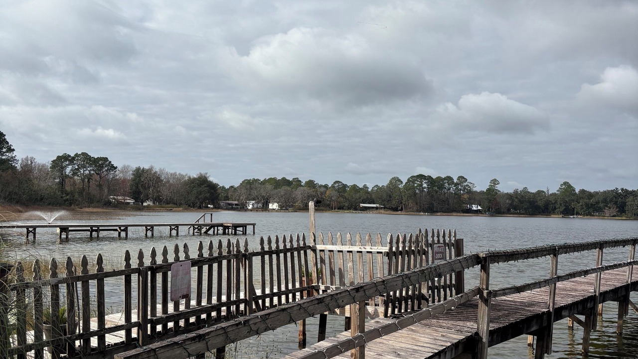 Photo of Others in Silver Springs