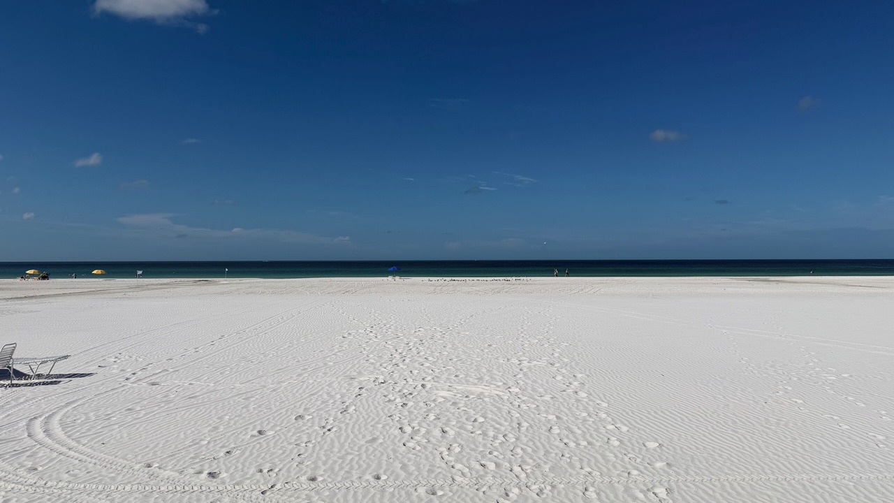 Photo of Others in Siesta Key