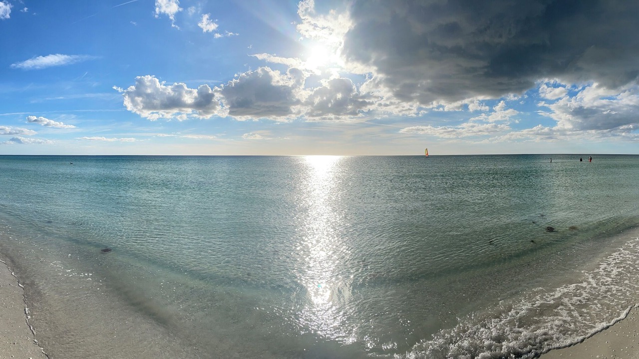 Photo of Others in Siesta Key