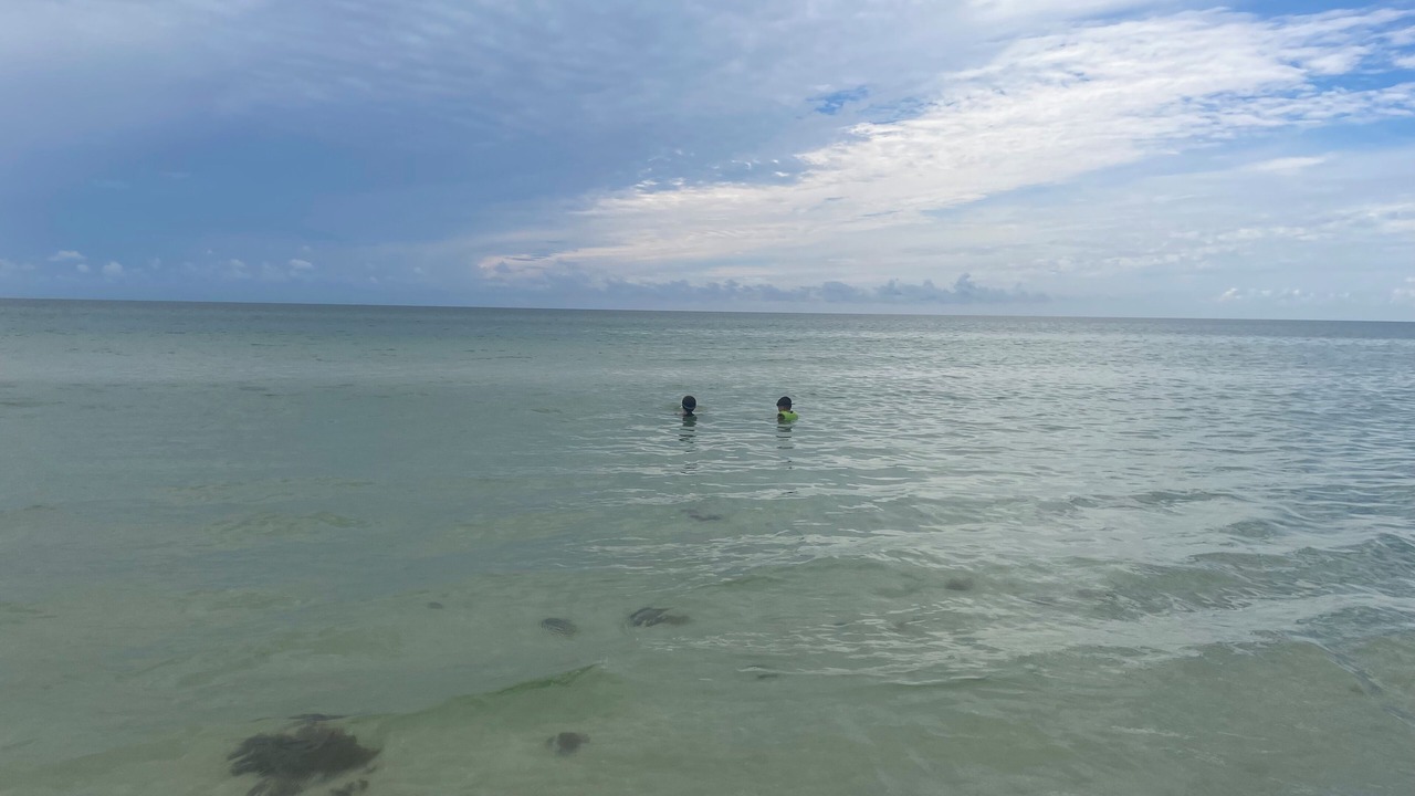 Photo of Others in Siesta Key