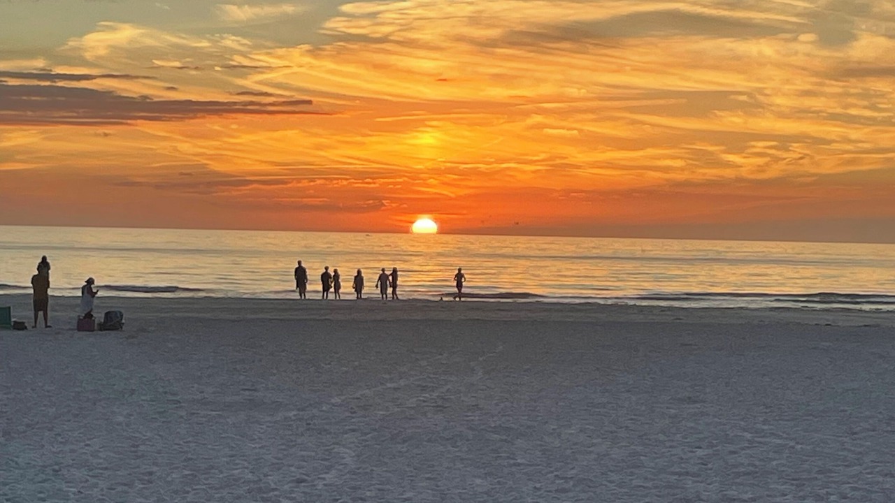 Photo of Others in Siesta Key