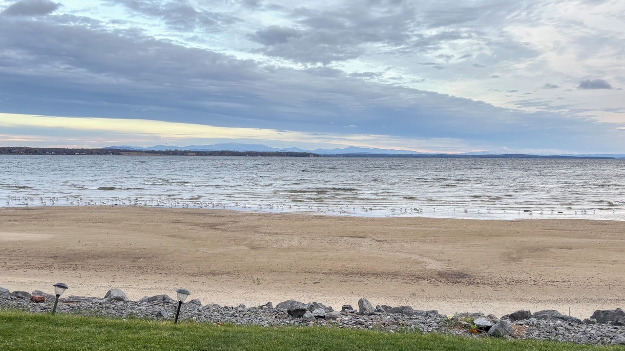 Photo of Others in Plattsburgh