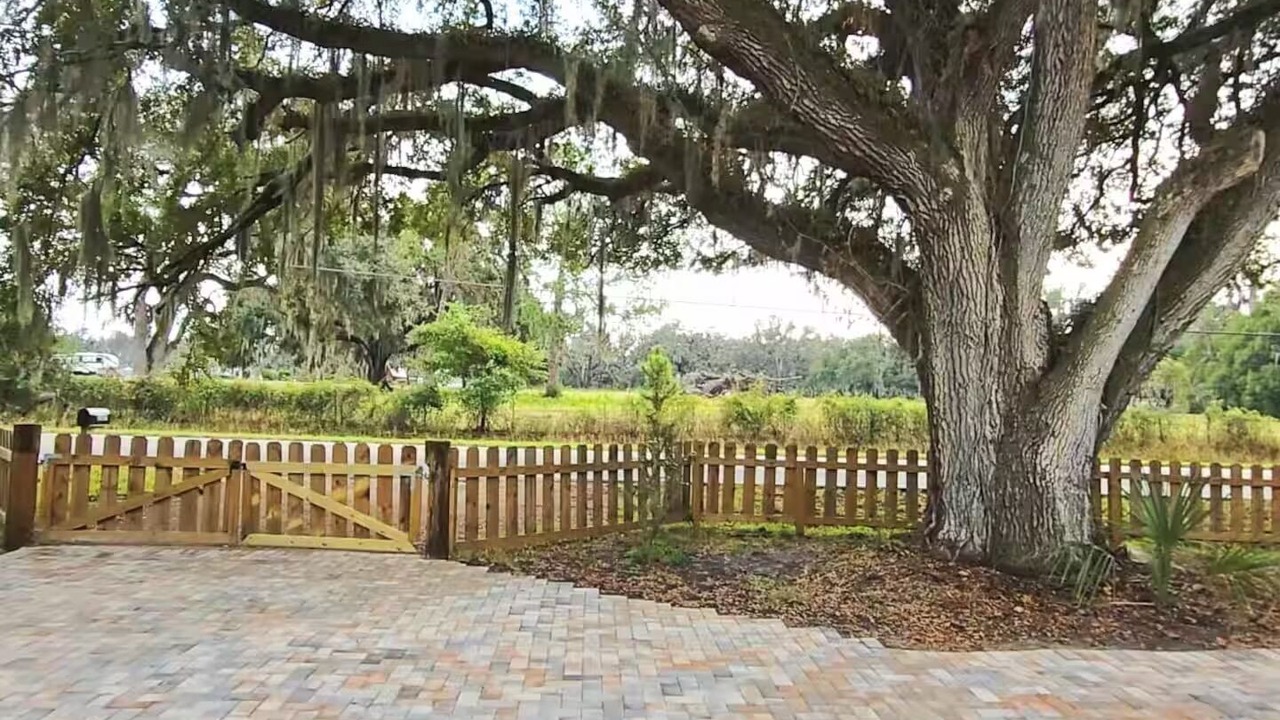 Photo of Outdoor in Lakeland