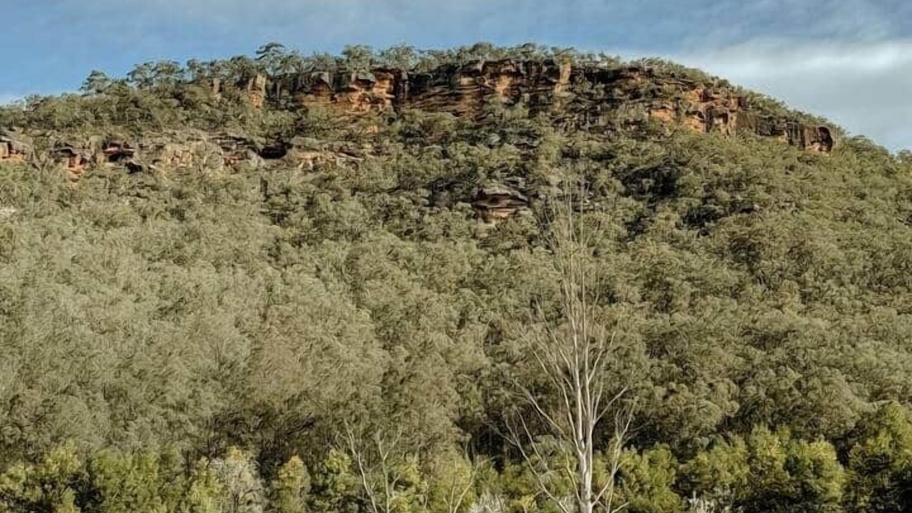 Photo of Others in Higher Macdonald