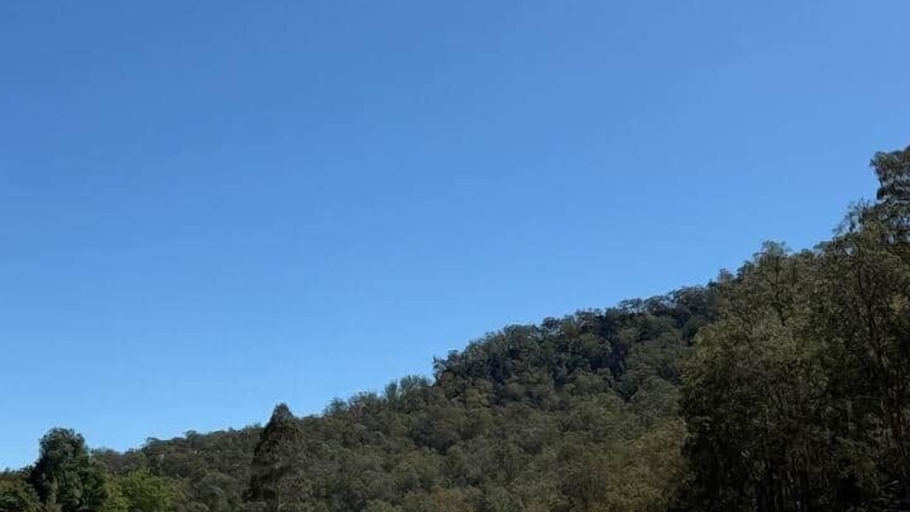 Photo of Others in Higher Macdonald