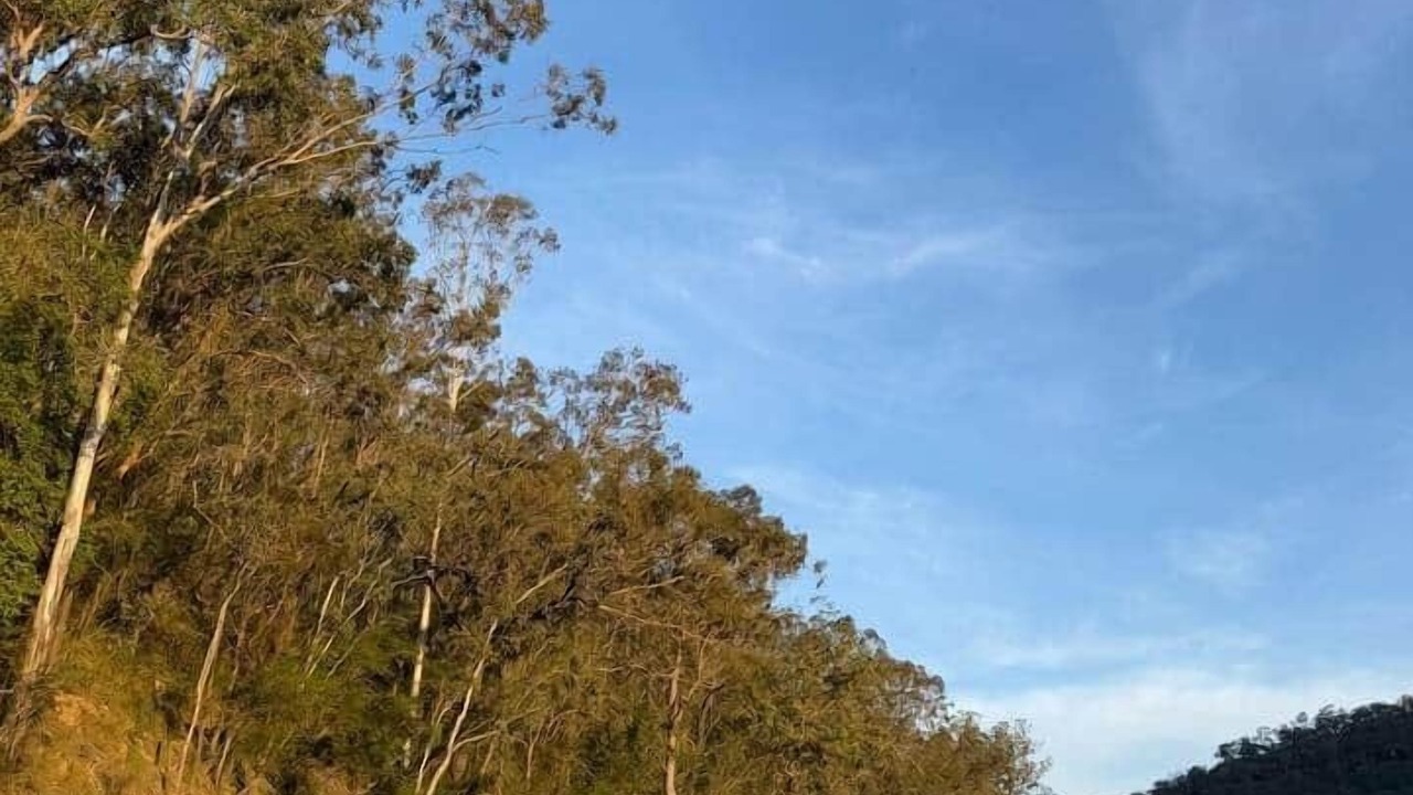 Photo of Others in Higher Macdonald