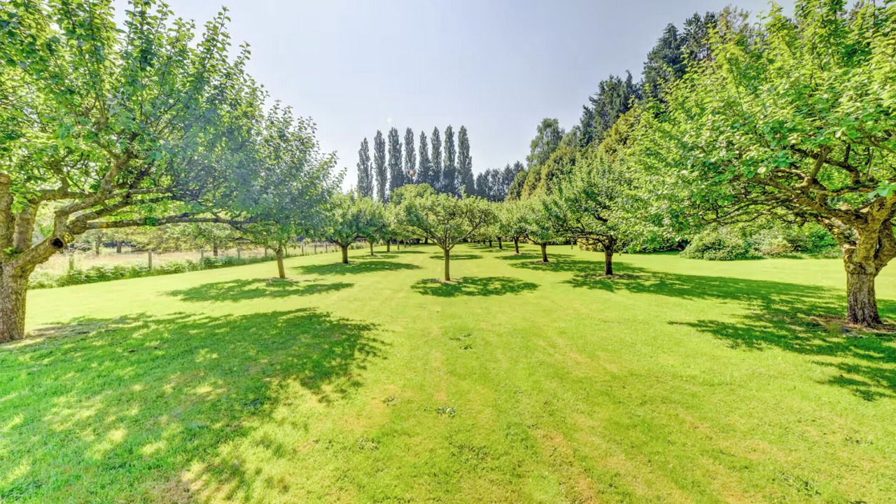 Photo of Outdoor in Grand Bourgtheroulde