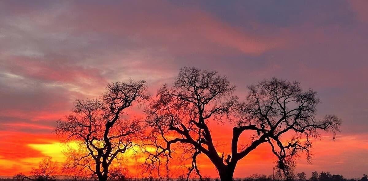 Photo of Others in Lincoln