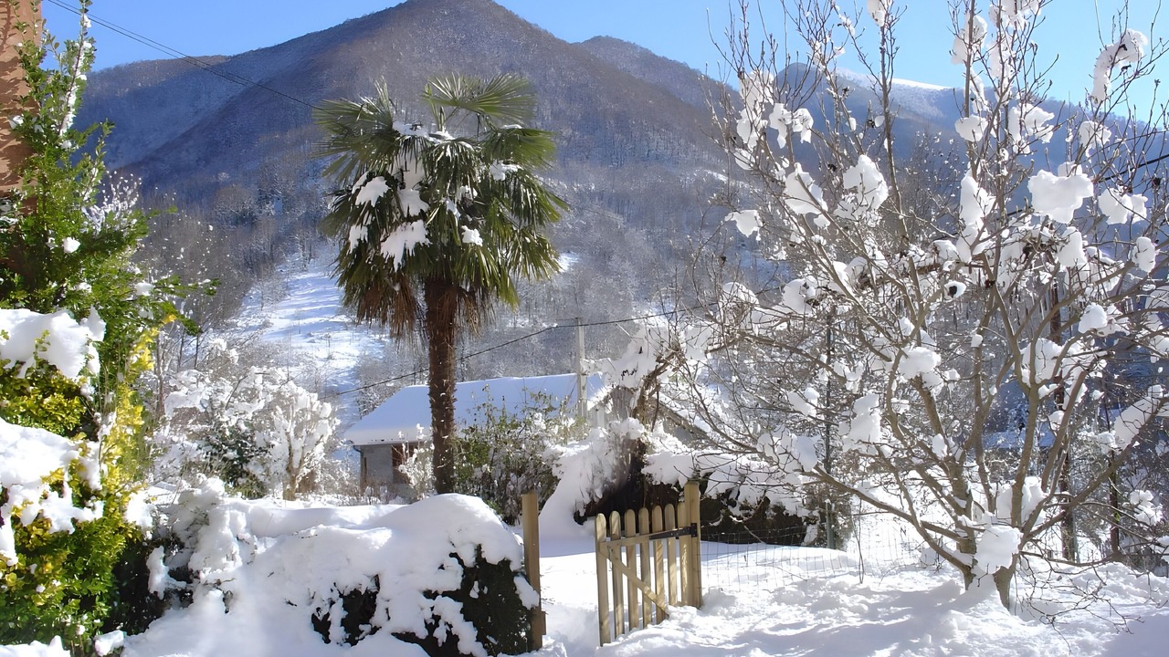 Photo of Outdoor in Bonac-Irazein
