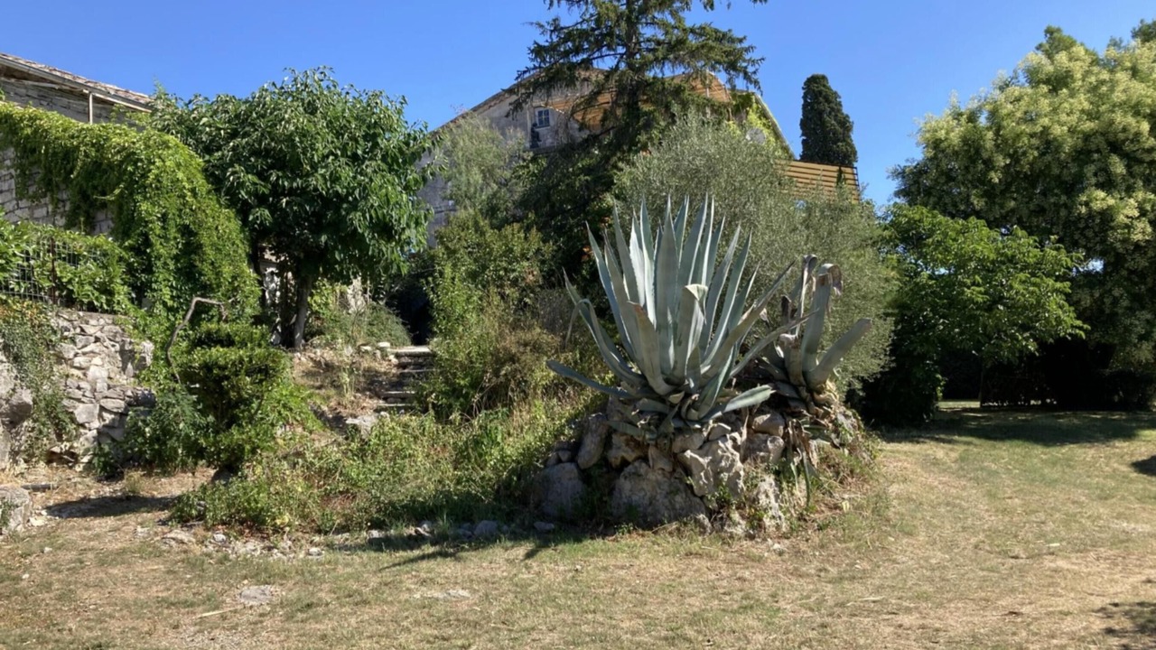 Photo of Outdoor in Chauzon