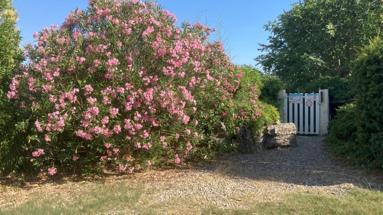 Photo of Outdoor in Chauzon