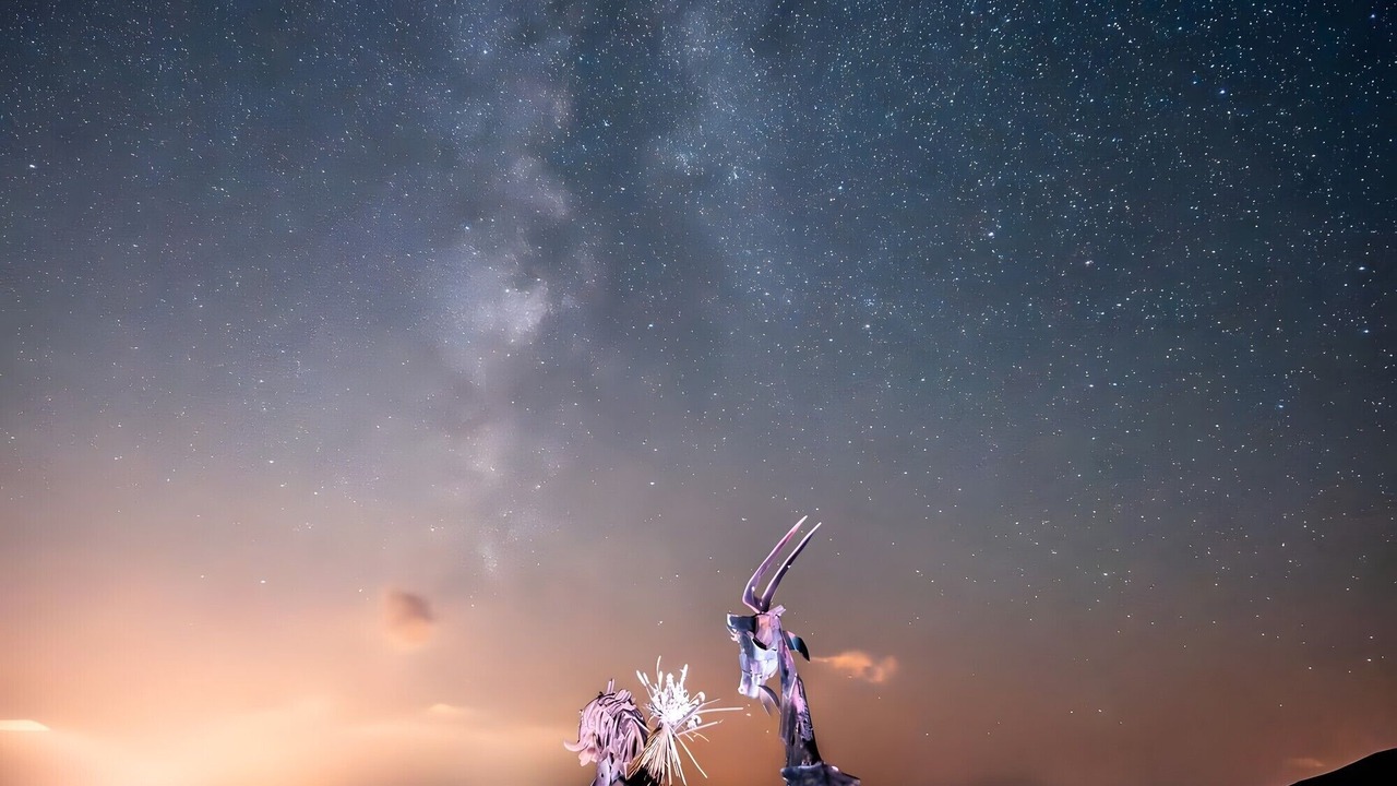 Photo of Others in Chauzon