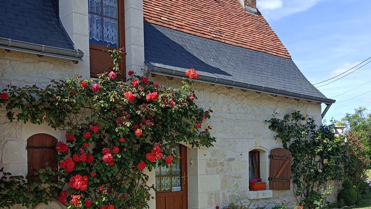 Photo of Outdoor in Brehemont