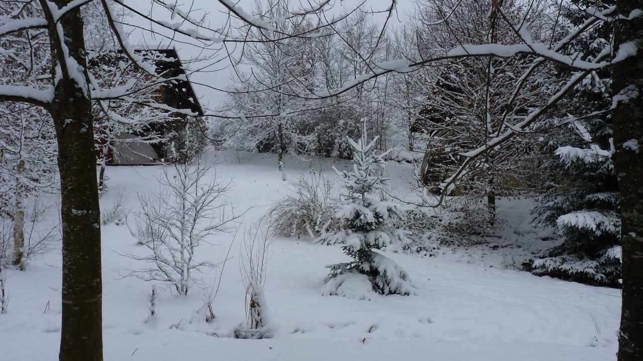 Photo of Outdoor in Fays