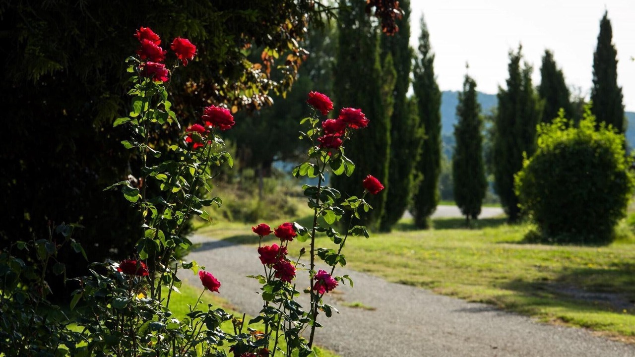 Photo of Outdoor in Lladurs