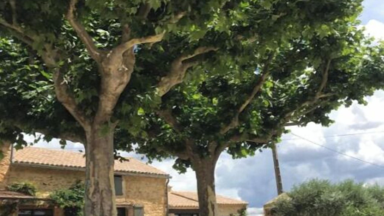 Photo of Outdoor in Tresques