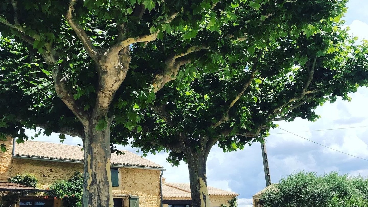 Photo of Outdoor in Tresques