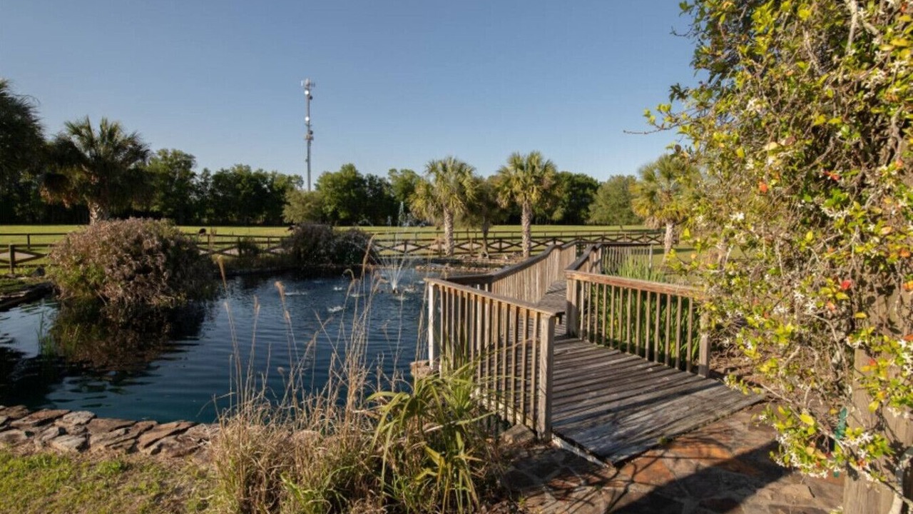 Photo of Outdoor in Williston