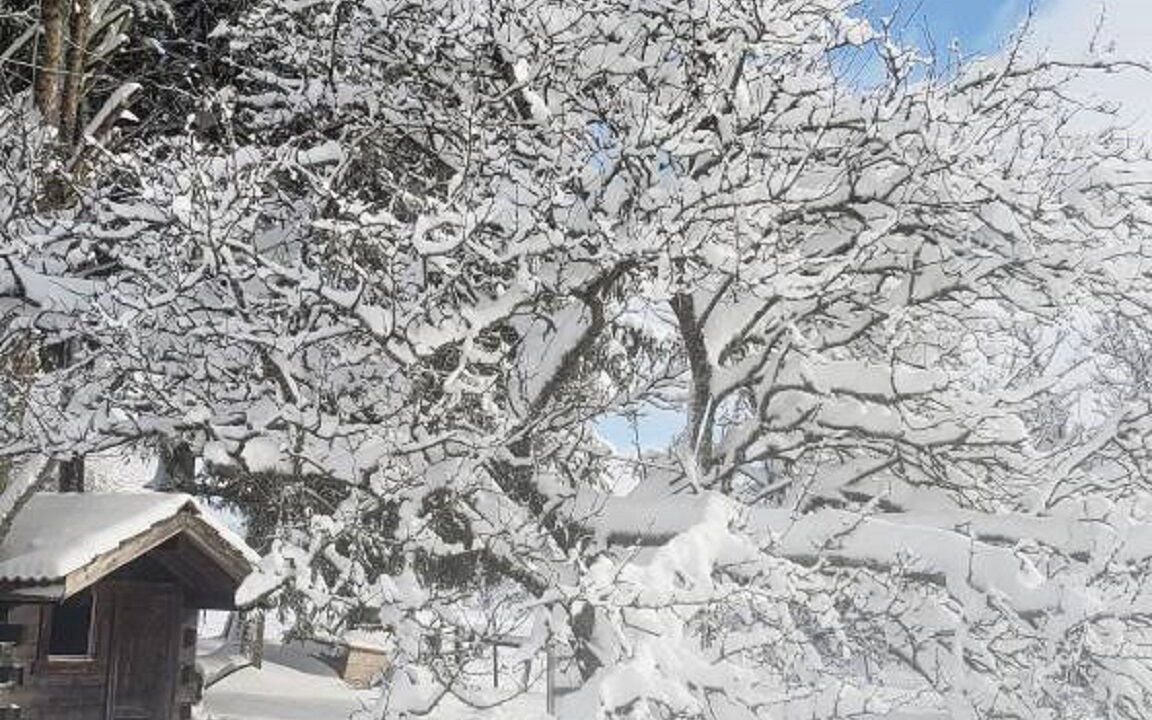 Photo of Outdoor in Mazire