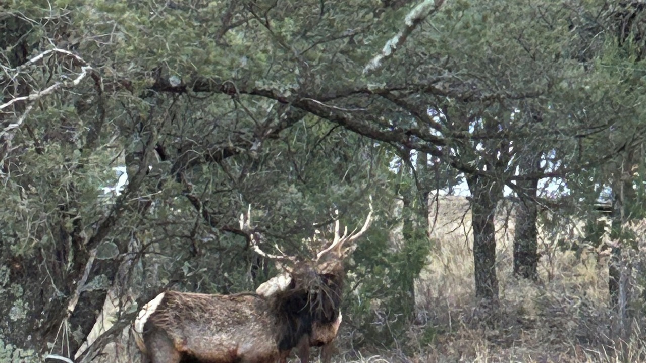 Photo of Others in Ruidoso Downs