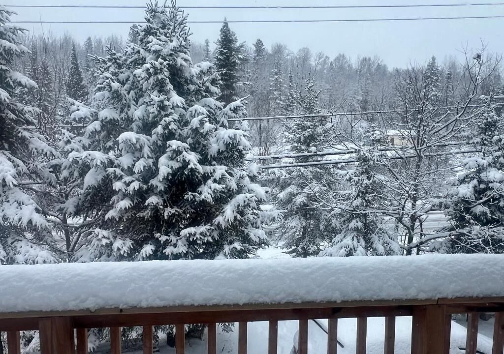 Photo of Outdoor in Riviere-Rouge
