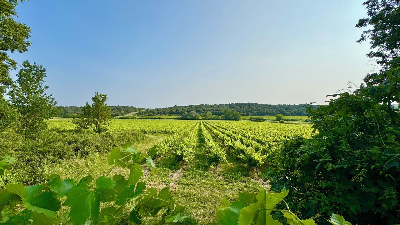 Photo of Others in La Bruguiere