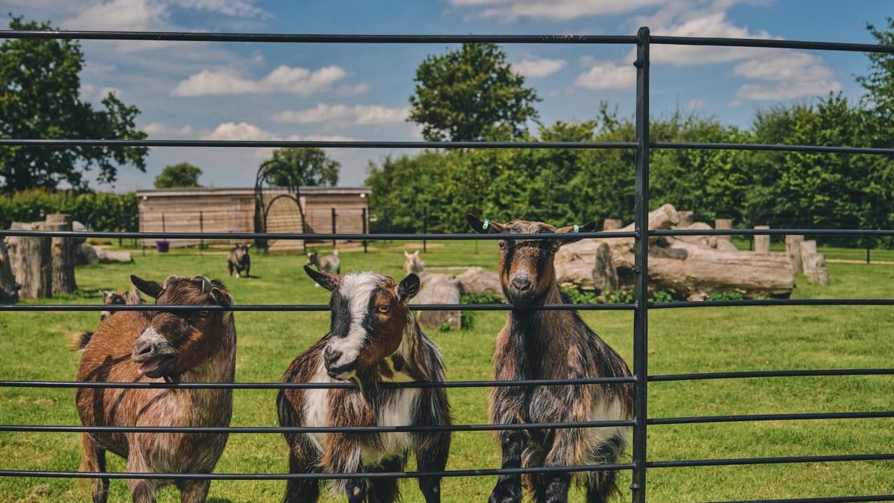 Photo of Others in East Horrington