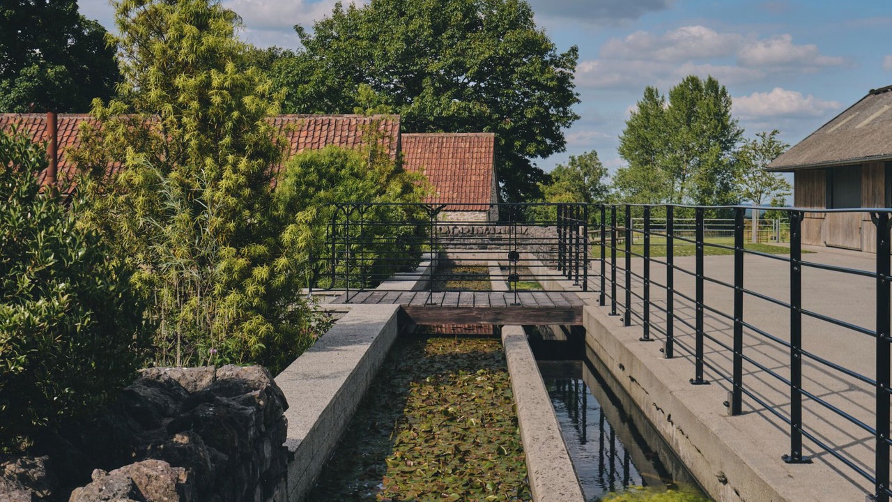 Photo of Others in East Horrington