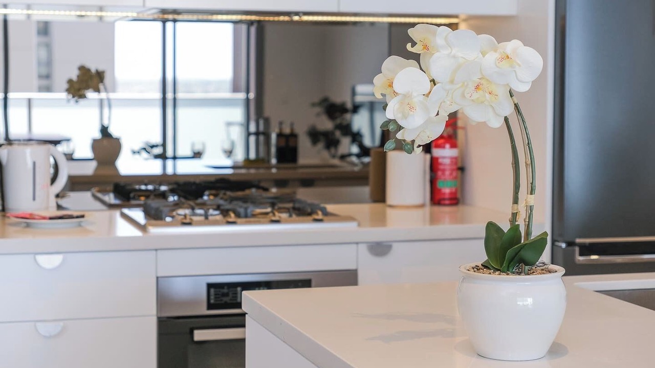 Photo of Kitchen in Burwood