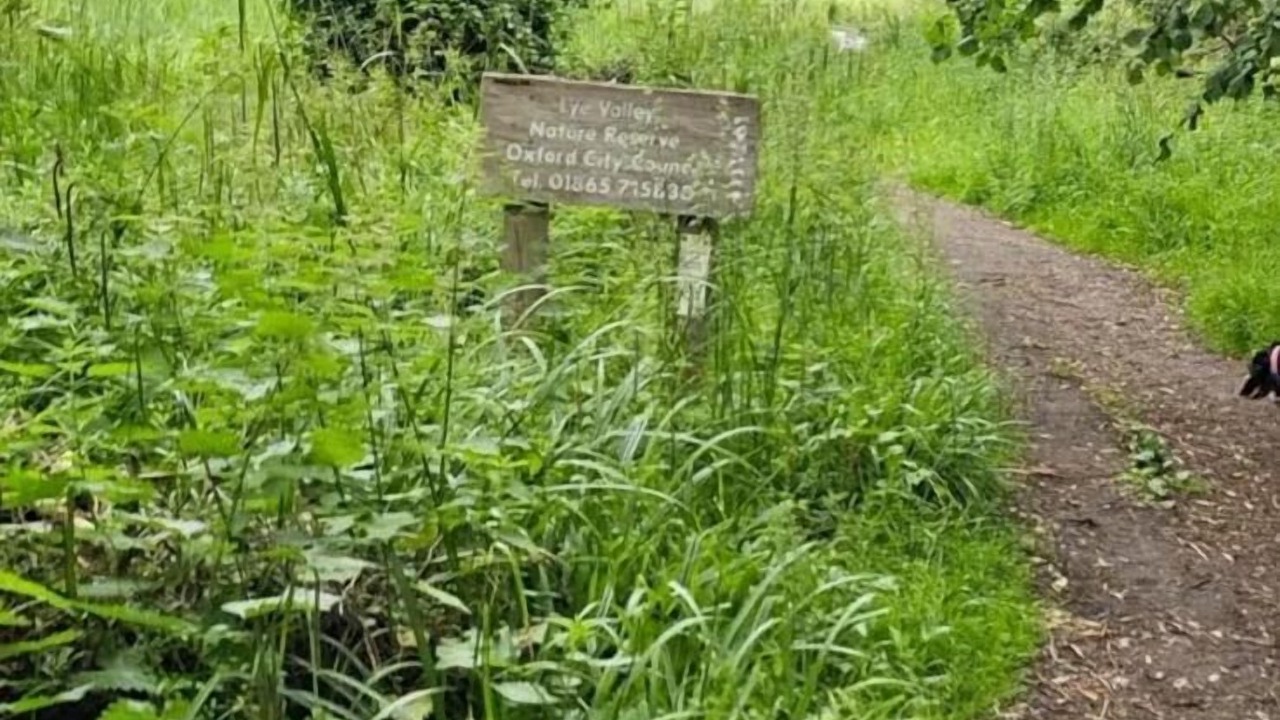 Photo of Others in Oxford