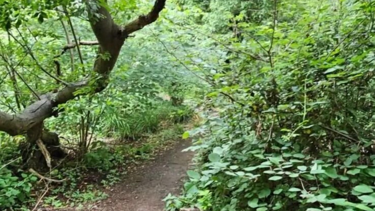 Photo of Others in Oxford