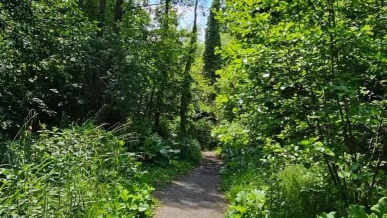 Photo of Others in Oxford