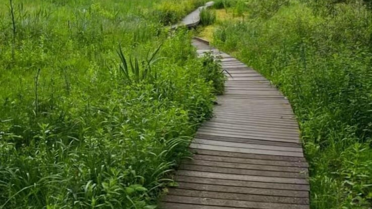 Photo of Outdoor in Oxford