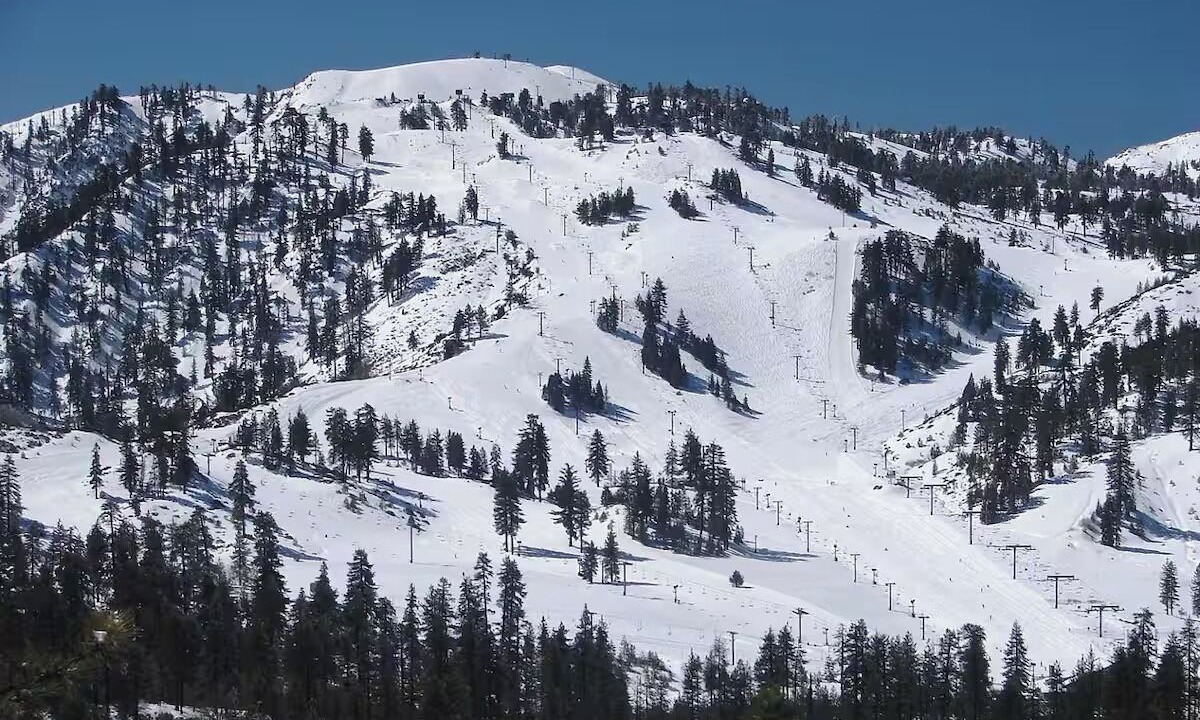 Photo of Others in Crestline