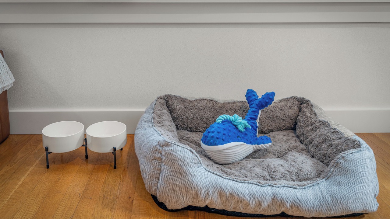 Photo of Others in Alki