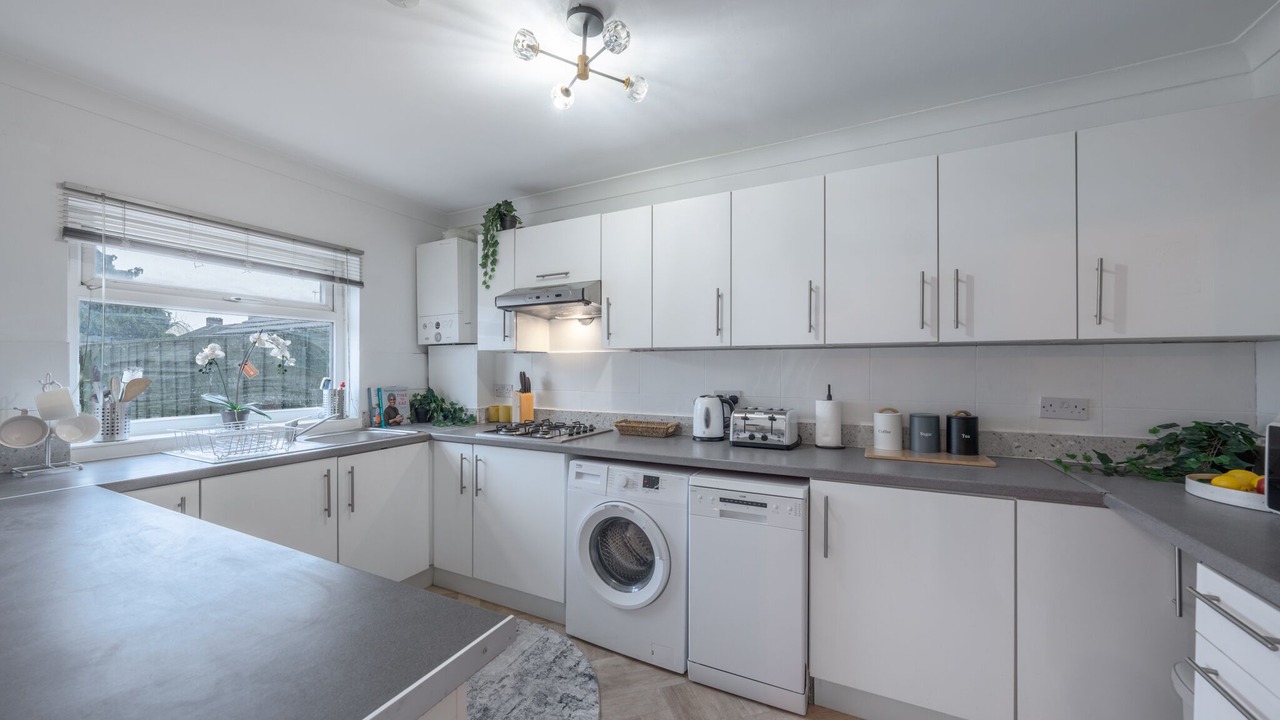 Photo of Others in Alibon