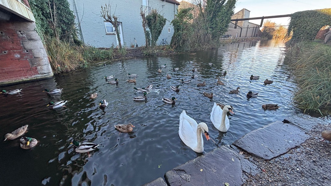 Photo of Others in Heybridge