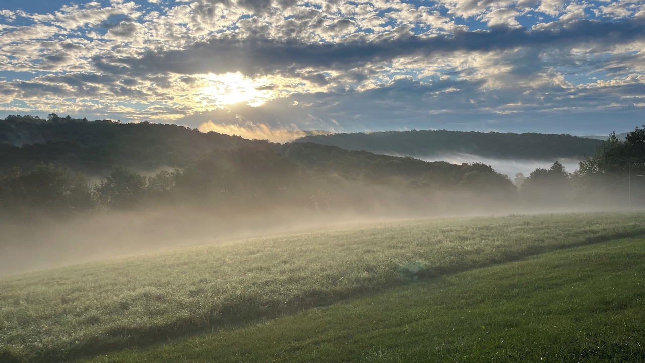 Photo of Others in West Eaton