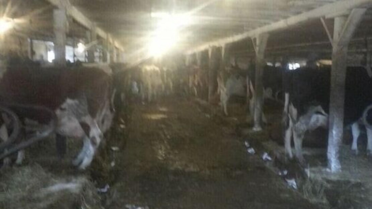 Photo of Others in West Eaton