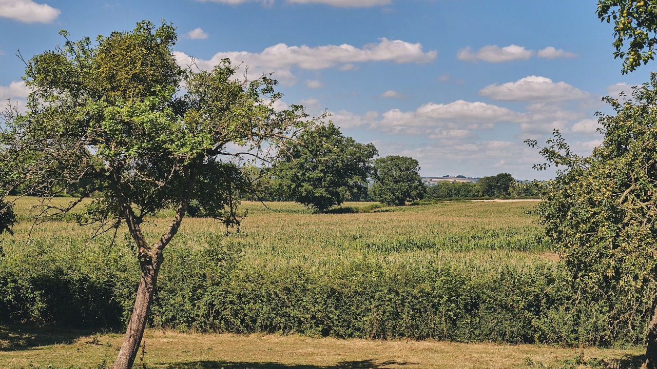 Photo of Others in Pembridge