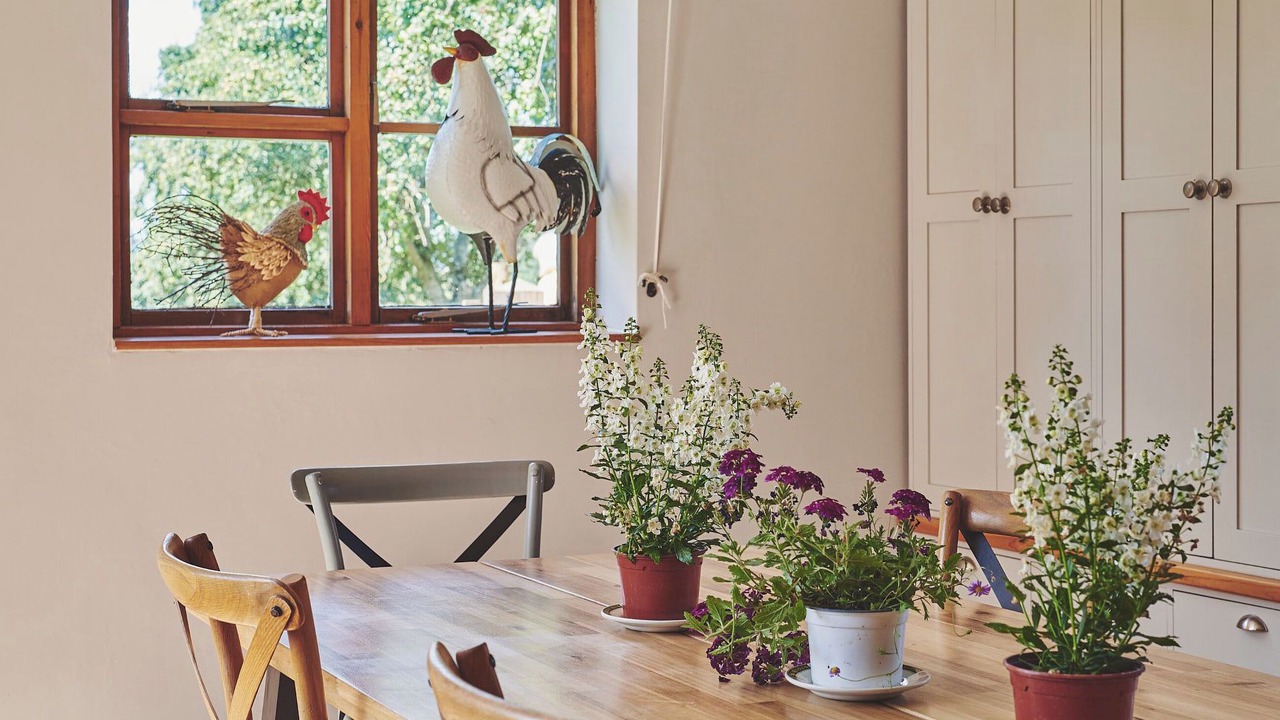 Photo of Others in Pembridge