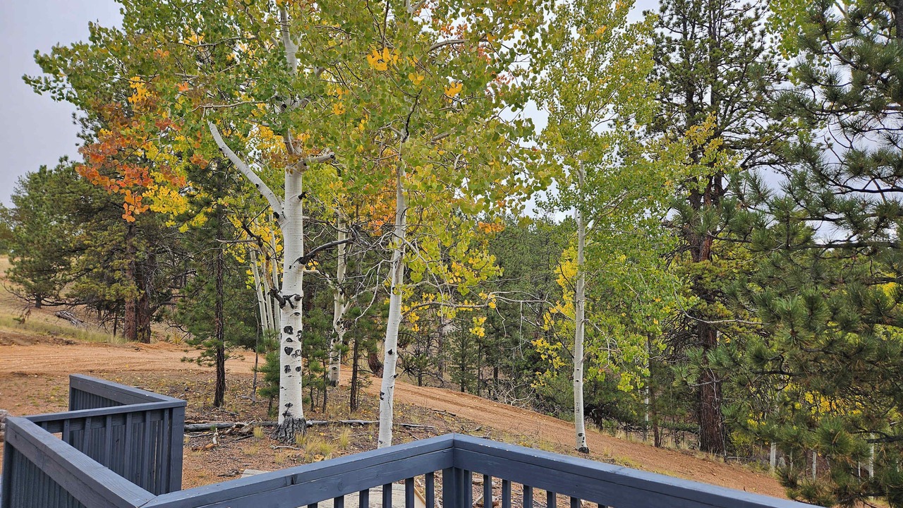 Photo of Others in Cripple Creek