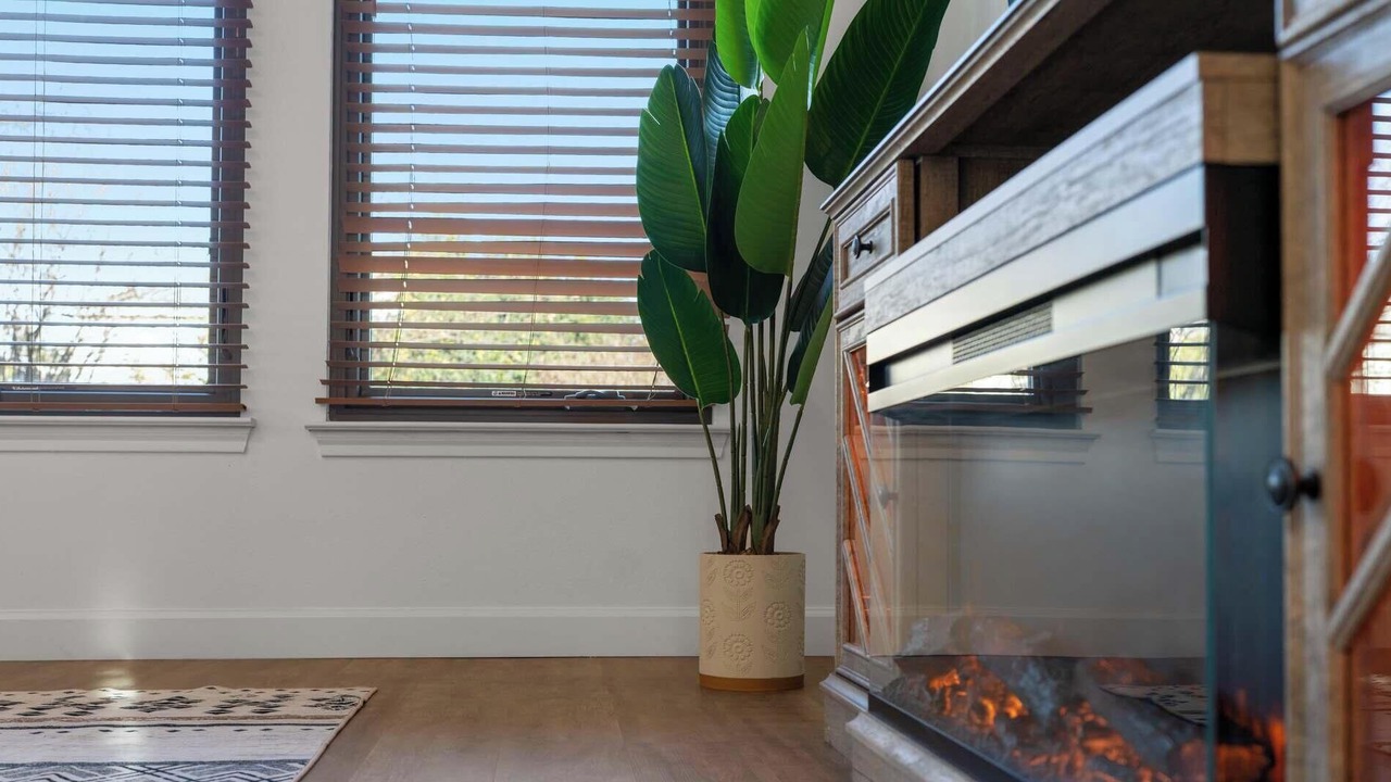 Photo of Livingroom in Georgetown