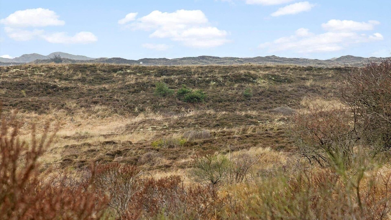 Photo of Others in Snedsted