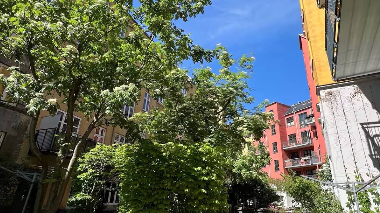 Photo of Outdoor in København N