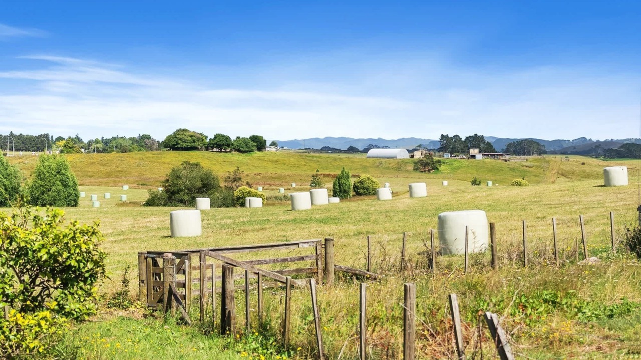 Photo of Others in Maramarua