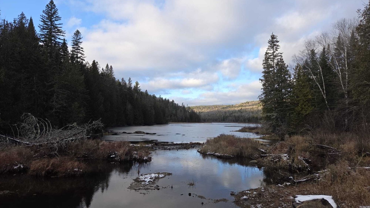 Photo of Others in Mauricie