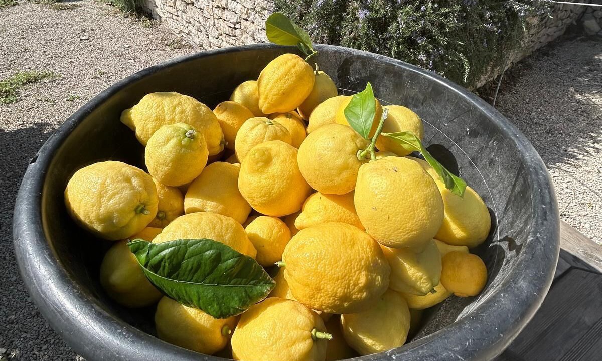 Photo of Others in Bonifacio