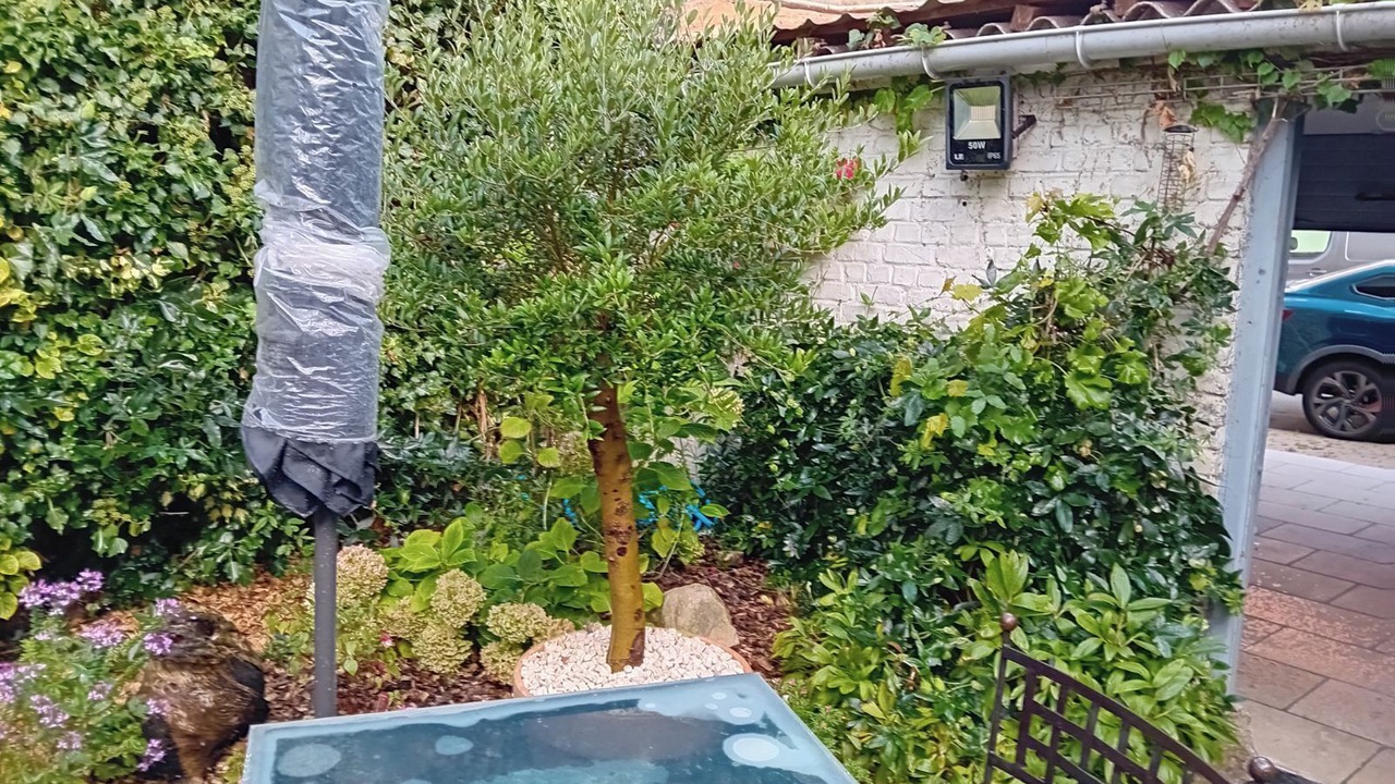 Photo of Outdoor in Gravelines