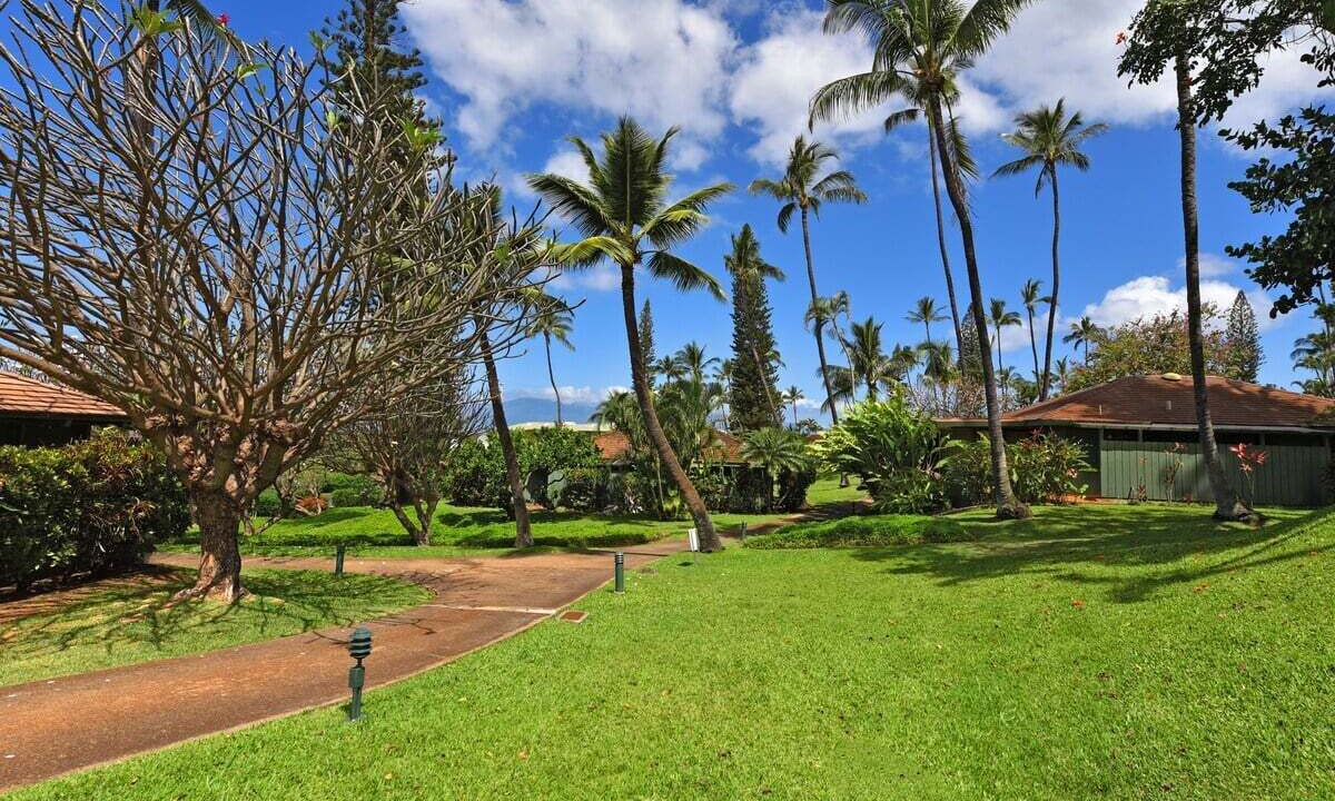 Photo of Outdoor in Kaanapali